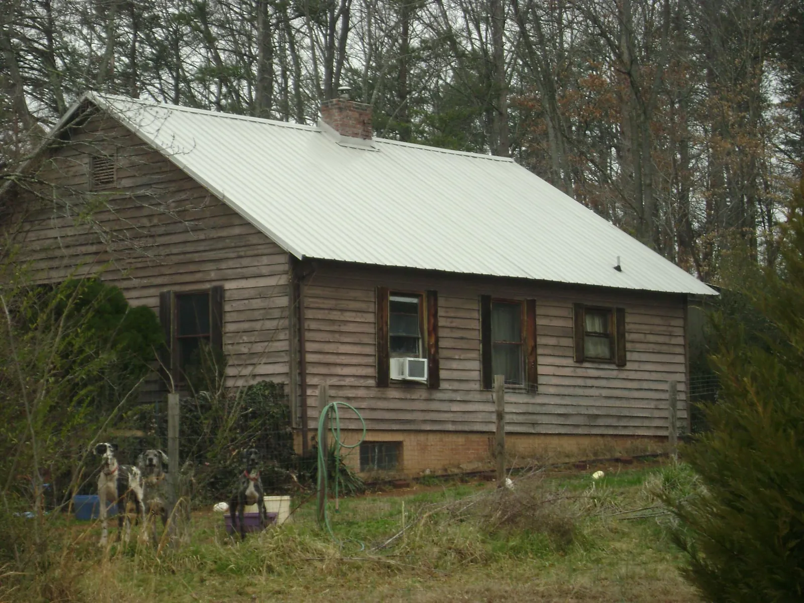 White metal roof on an old wood sided farmhouse, from a Asphalt Shingle Roof Repair job in Woosung